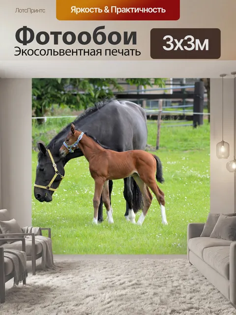 Фотообои Лошади и ферма пони
