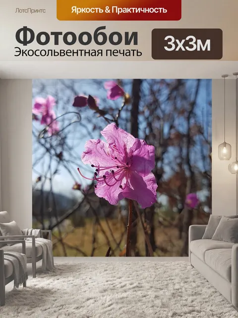 Фотообои Азалия