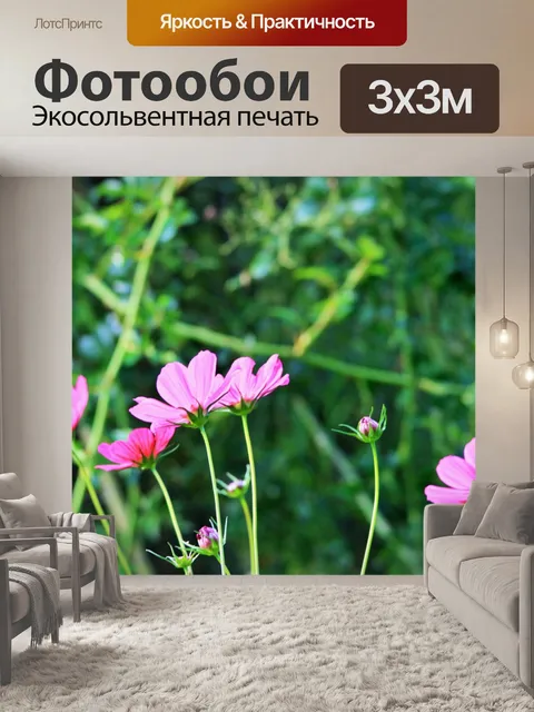 Фотообои Розовый космос цветы в саду