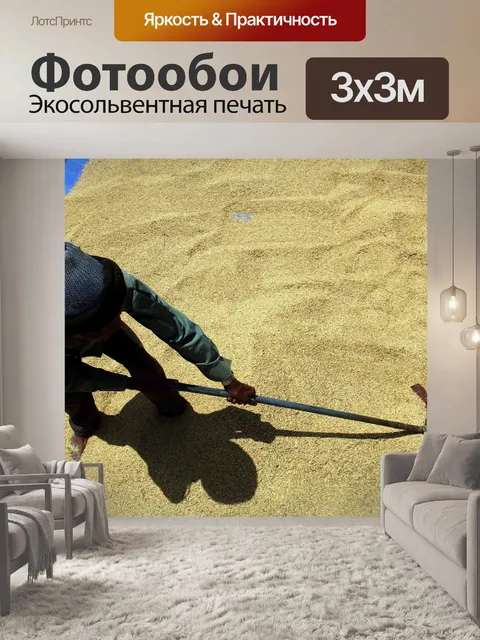 Фотообои Пэдди
