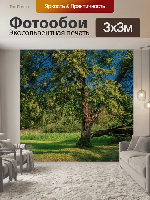Фотообои Лес