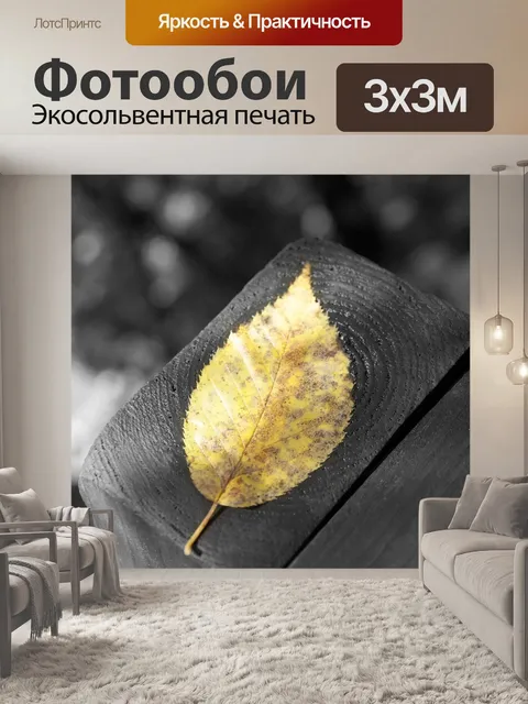 Фотообои Осенний лист