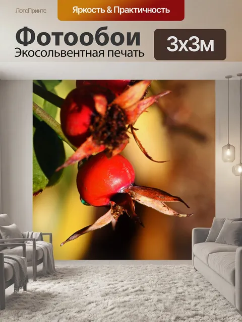 Фотообои красные плоды шиповника осенью на розе