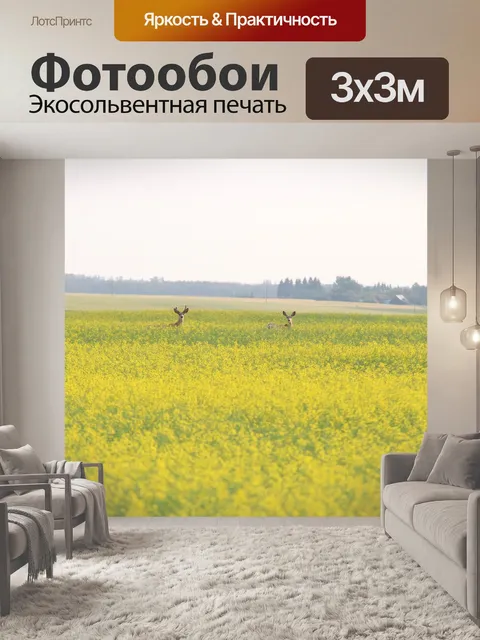 Фотообои Два оленя в поле рапса