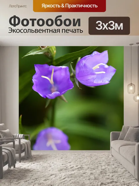 Фотообои колокольчик