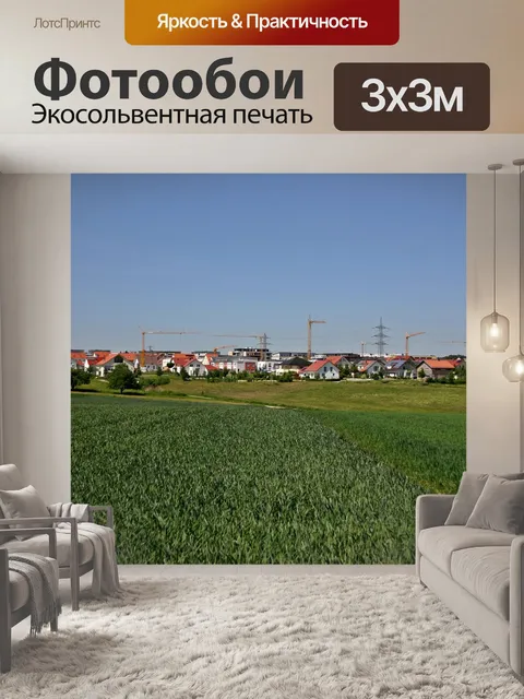 Фотообои Зона развития