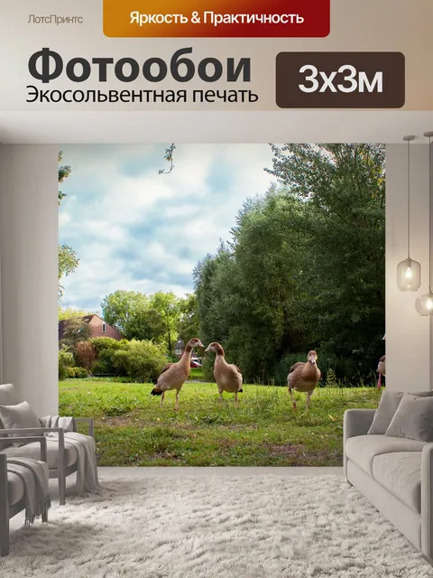 Фотообои Египетские гуси