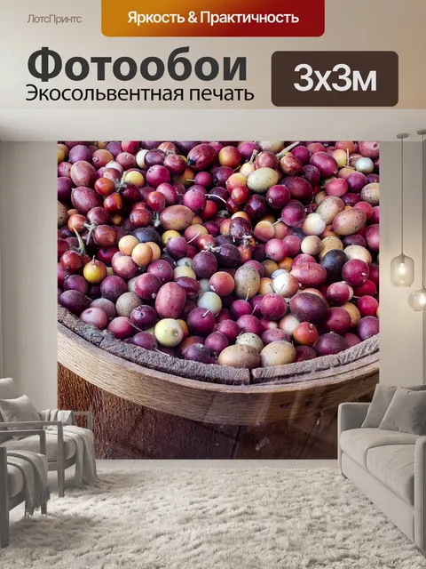 Фотообои Сырые кофейные зерна