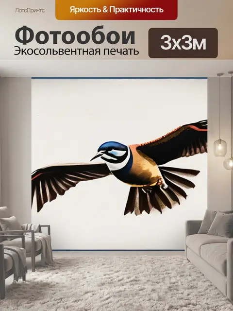 Фотообои птица в полете