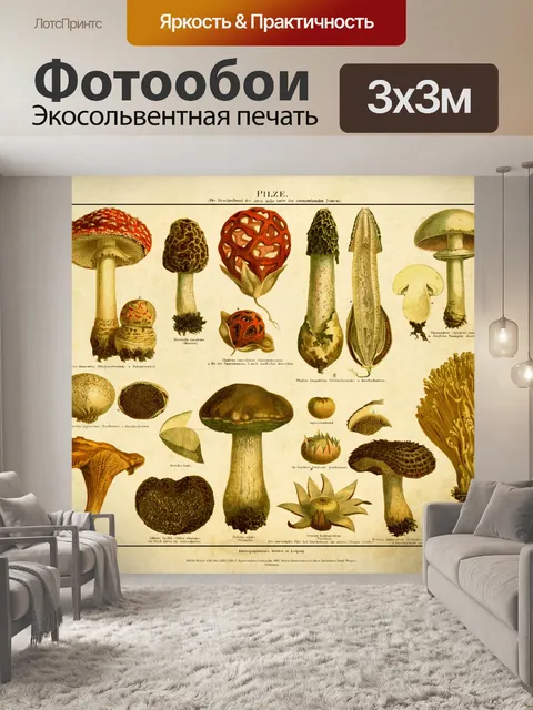 Фотообои Винтажный художественный принт с грибами