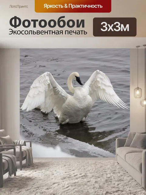 Фотообои Лебедь-трубач