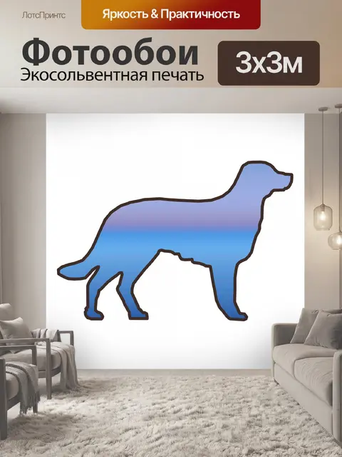 Фотообои Смуглая небо собака