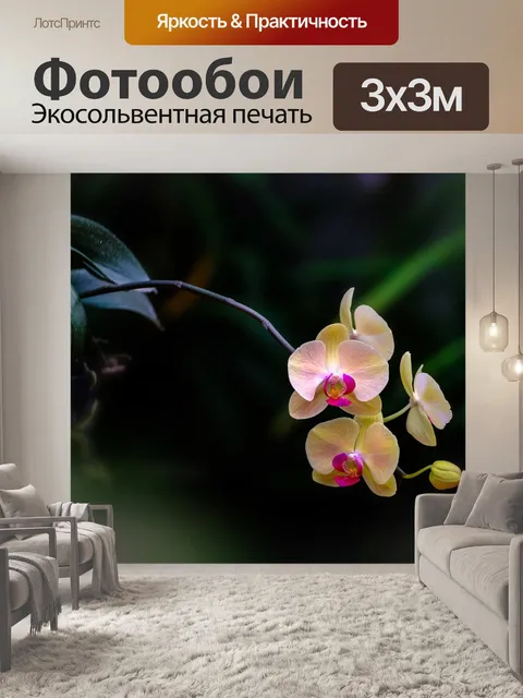Фотообои Цветок