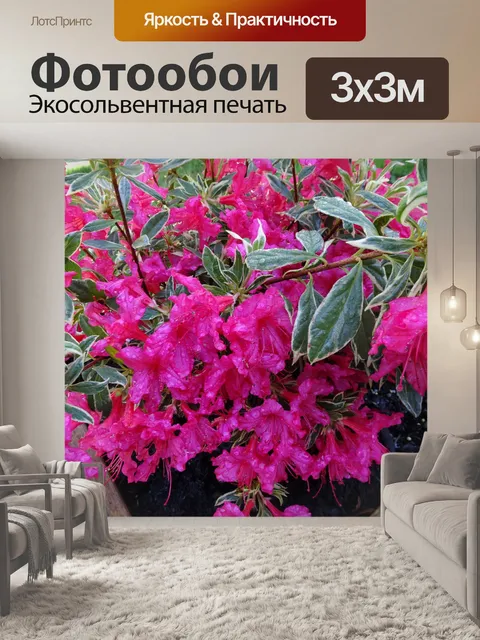 Фотообои Розовые цветы