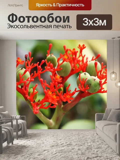 Фотообои Цвести
