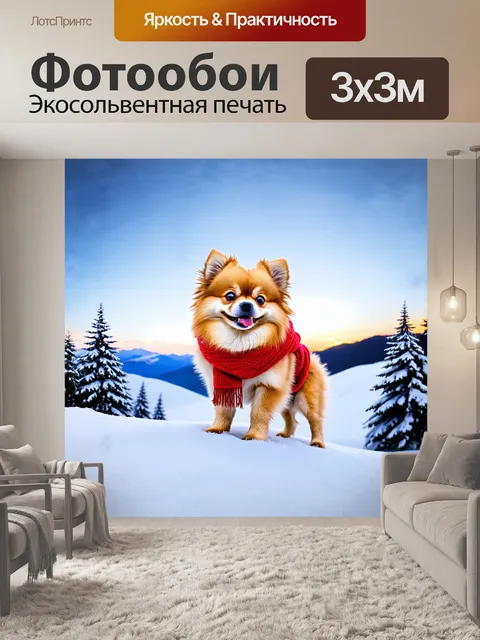 Фотообои на вершине заснеженной горы стоит померанский шпиц