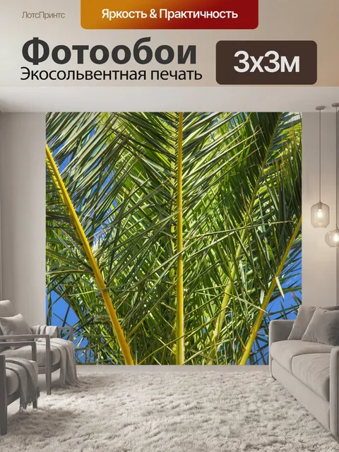 Фотообои пальма листья