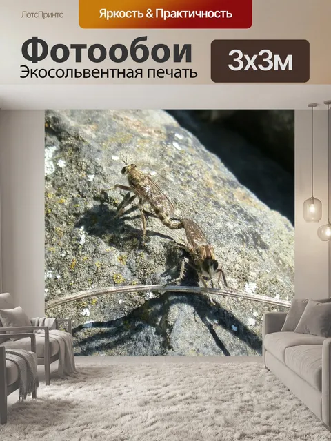 Фотообои Ошибки