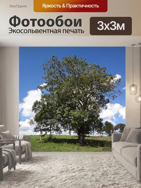 Фотообои Природа