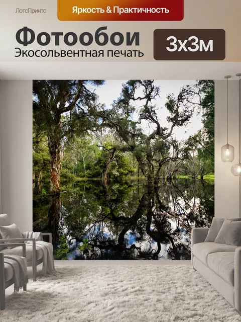 Фотообои Водно-болотное угодье