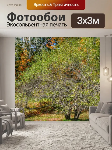 Фотообои деревья