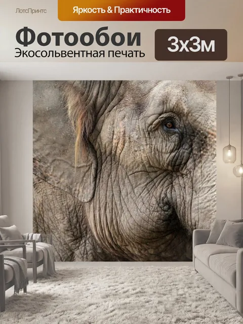 Фотообои Слон