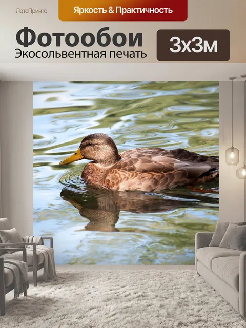 Фотообои Птица