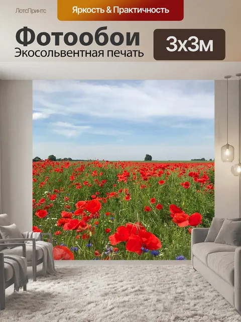 Фотообои Небеса