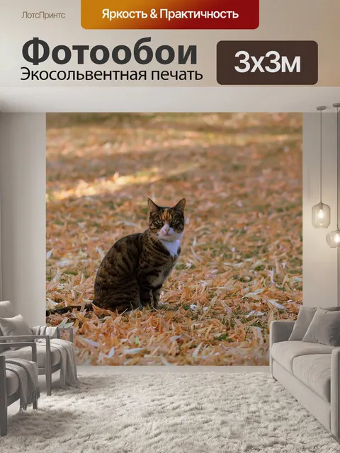 Фотообои Кошка