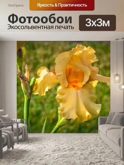 Фотообои Ирис