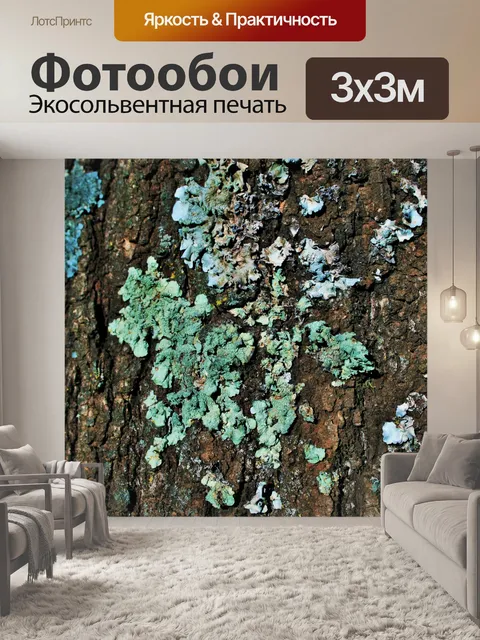 Фотообои светло-зеленый лишайник на коре