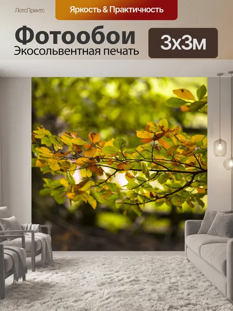 Фотообои Осенние листья