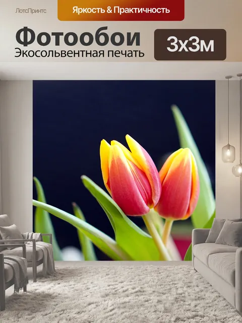 Фотообои Тюльпаны