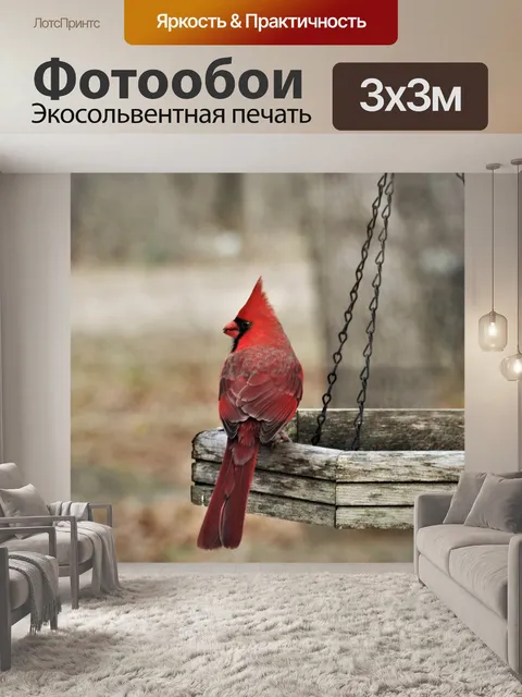 Фотообои Кардинал на кормушку