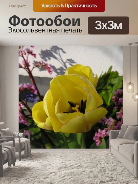 Фотообои Тюльпан