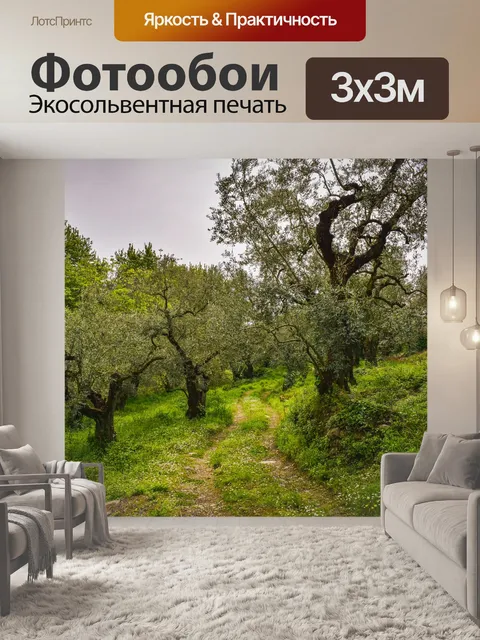 Фотообои Оливковая роща