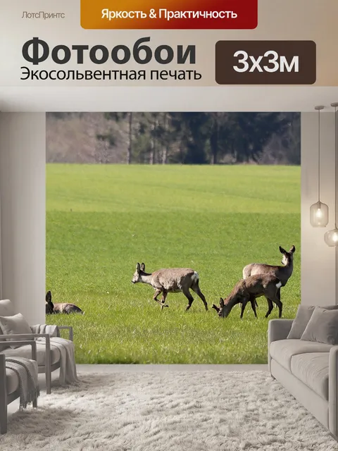Фотообои Олень