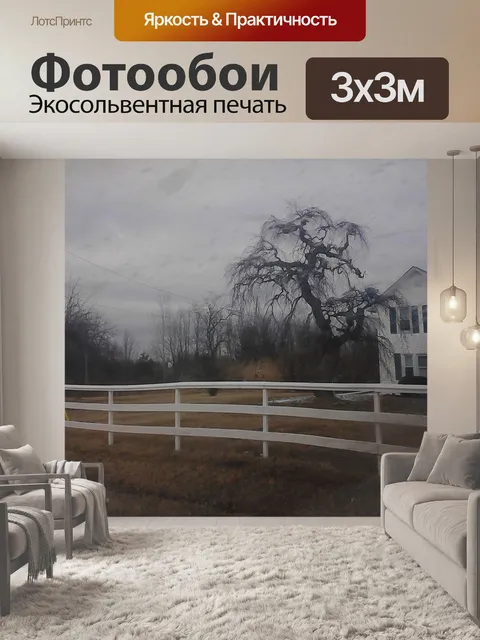Фотообои Дерево во дворе