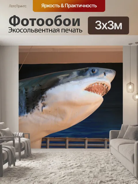 Фотообои большая белая акула модель 2