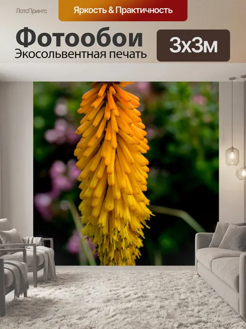 Фотообои Kniphofia, Red Hot Poker Макро