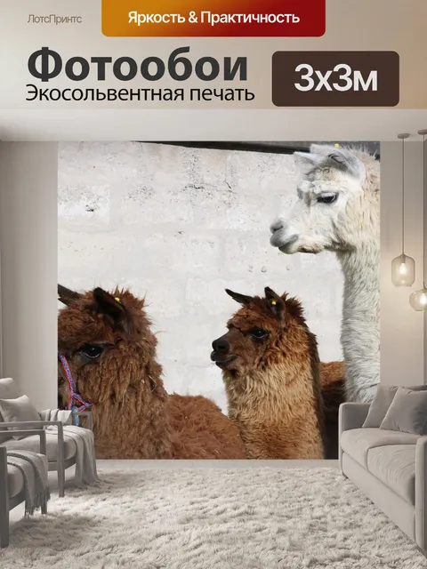 Фотообои Животное