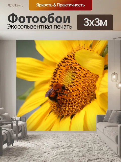 Фотообои Подсолнечник