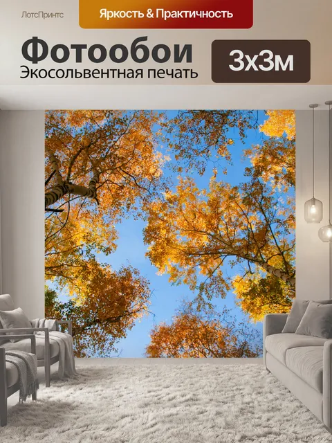 Фотообои Осеннее небо