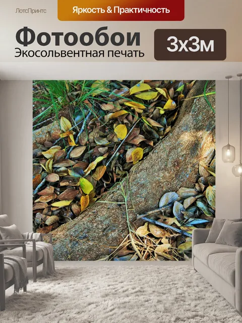 Фотообои смелые корни деревьев с опавшими листьям