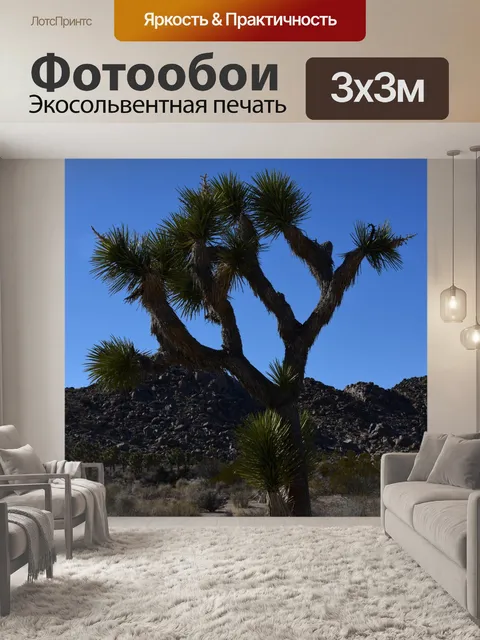 Фотообои Джошуа Три Юкка