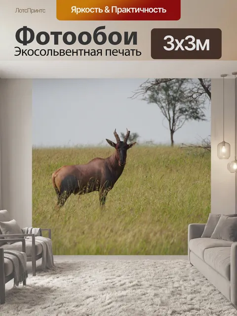 Фотообои Животное