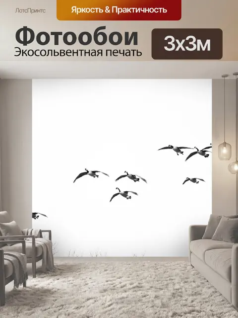 Фотообои Гуси