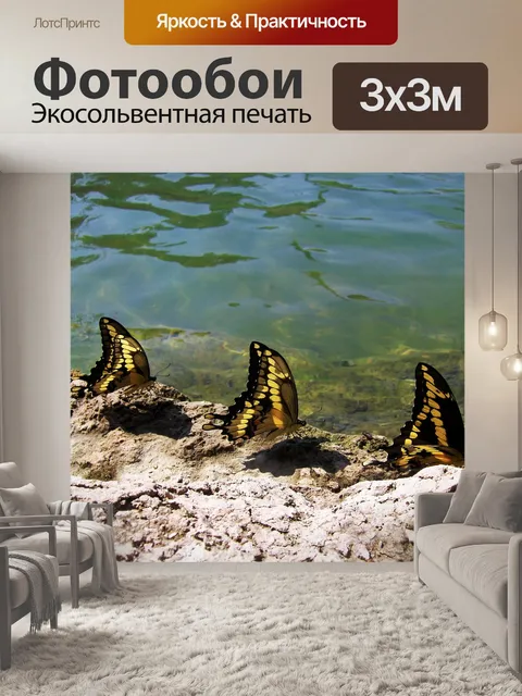Фотообои Бабочки