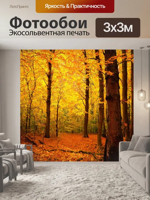 Фотообои глубокий осенний лес с деревьями, чьи листья словно золотые монеты