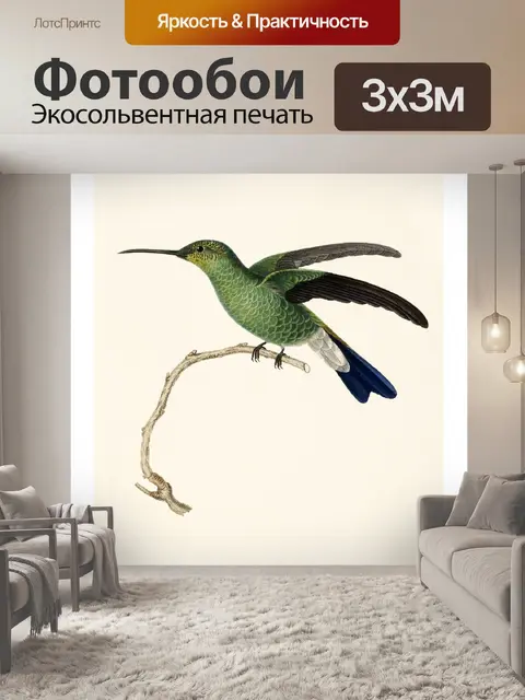Фотообои Колибри птица старинное искусство